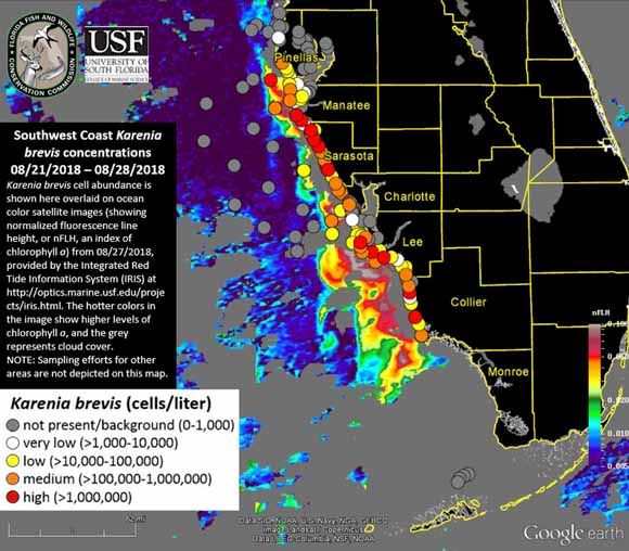 Map Of Florida Red Tide