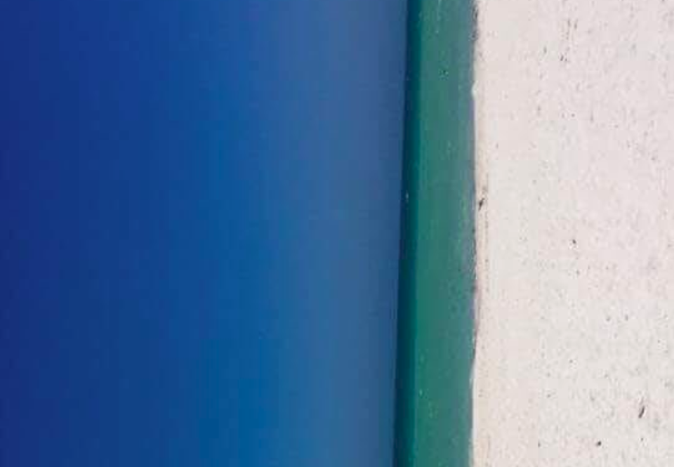 Is It a Beach or Door? New Viral Optical Illusion Confuses the