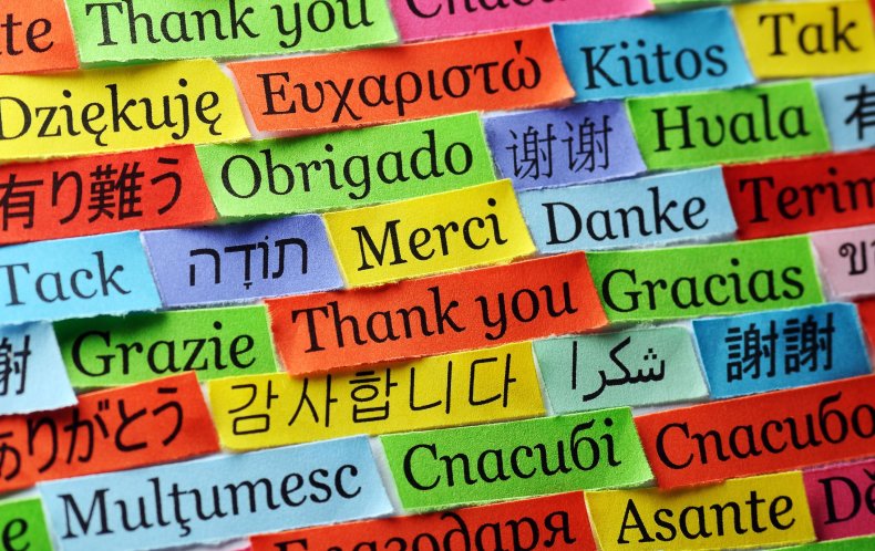 languages-stock