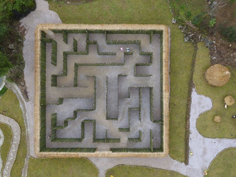 Maze