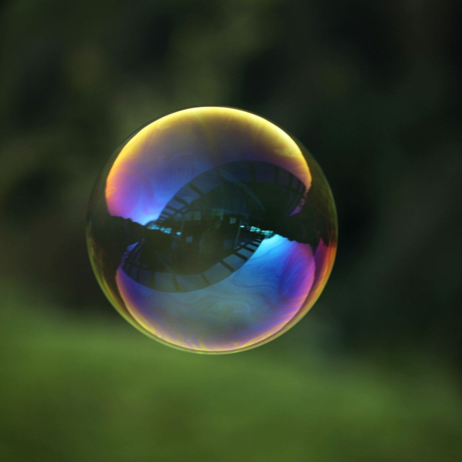 Watch: Physicists 'Reverse' a Bubble Popping