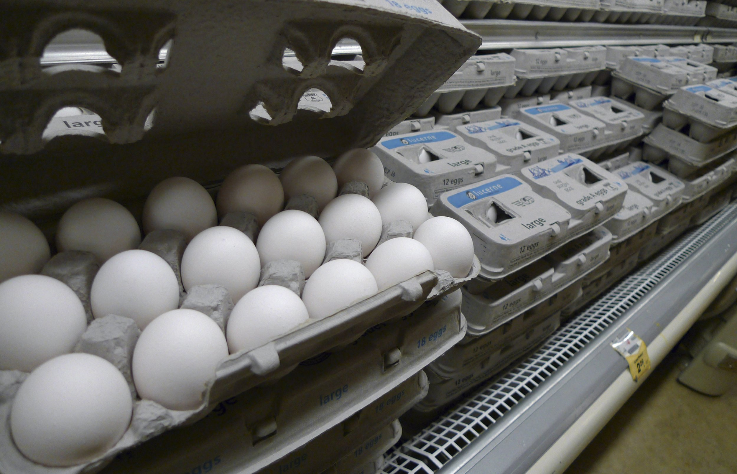 Куриное яйцо тест. Американские куриные яйца. Куриные яйца в Америке. Упаковка яиц Америка. Яйца на США.