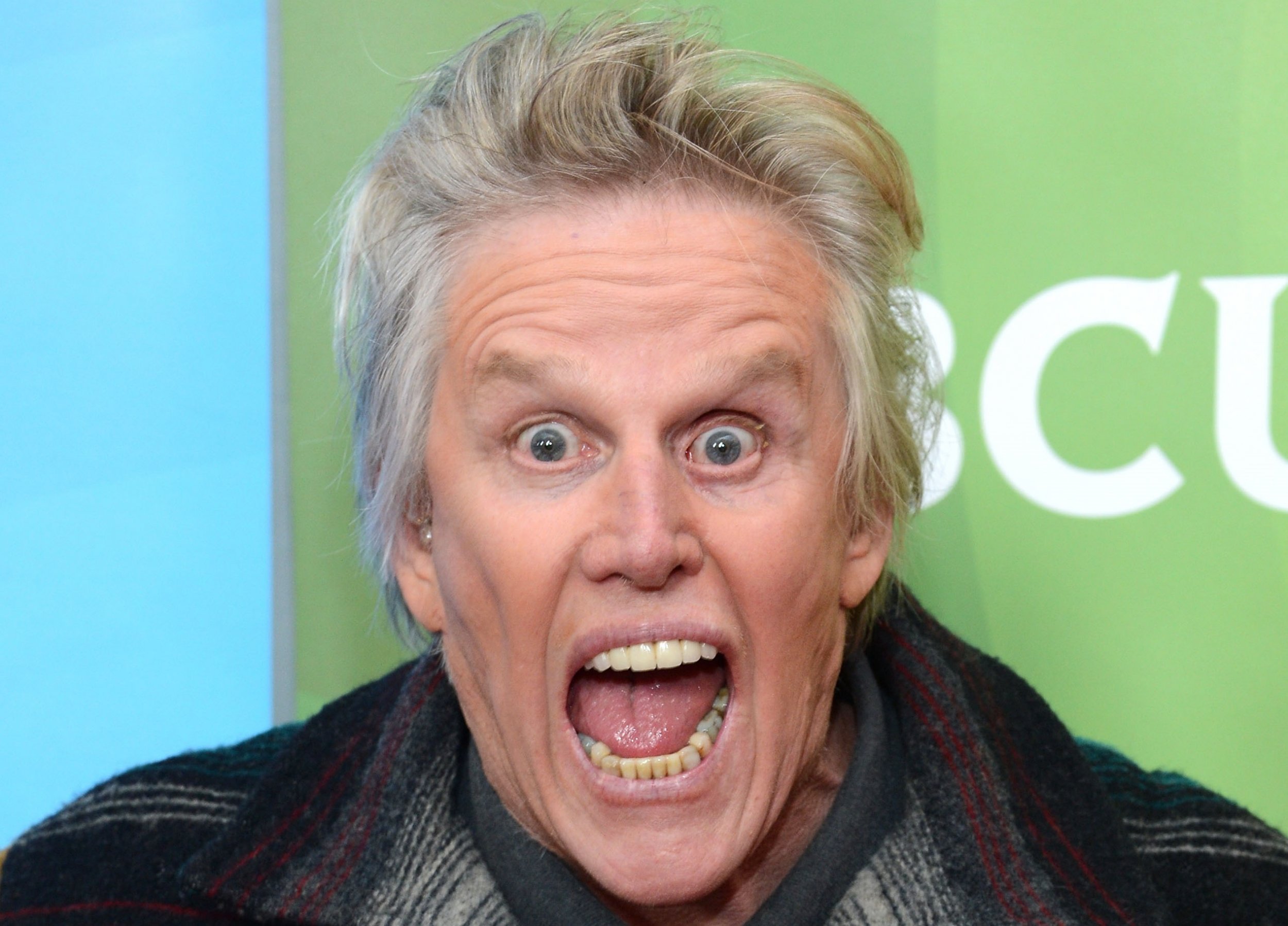 Gary Busey on His 'Buseyisms' Book, Bankruptcy and 'Point Break