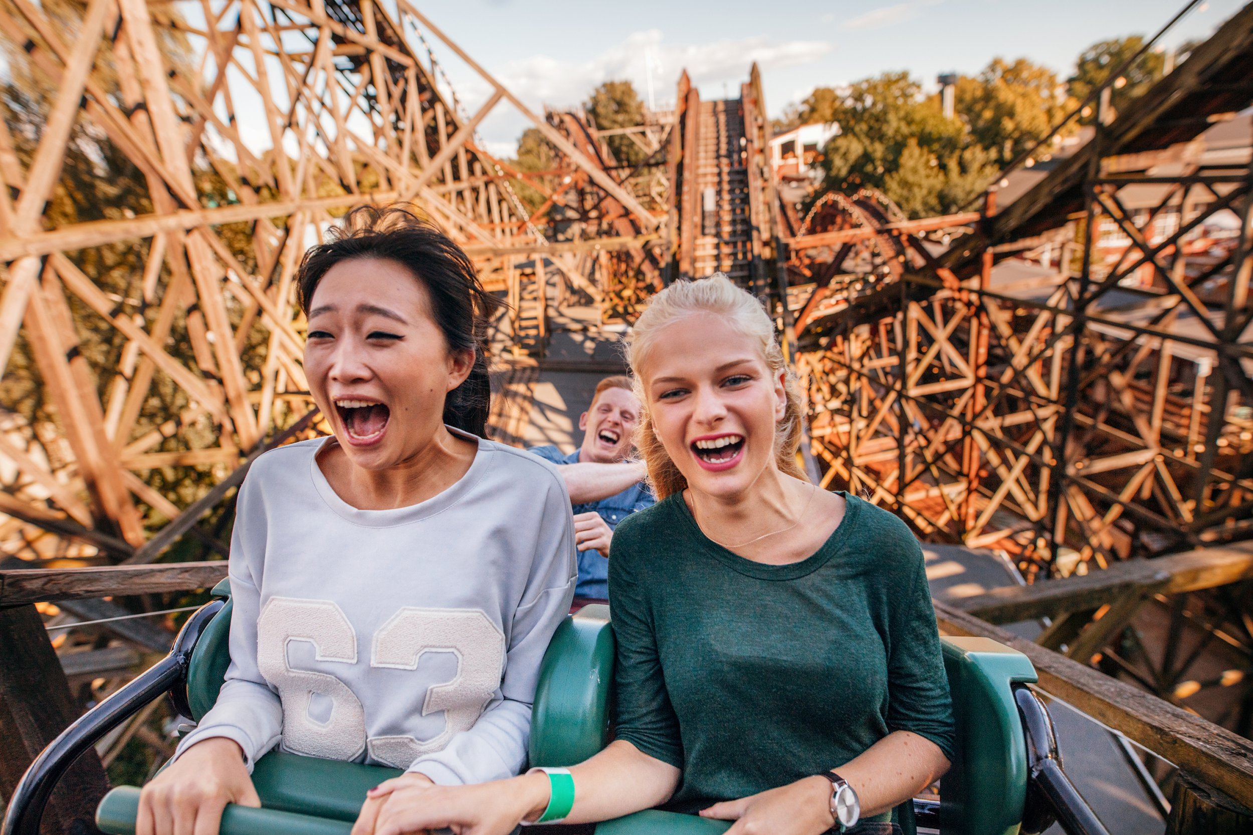 Can Roller Coaster Rides Remove Kidney Stones Innovative