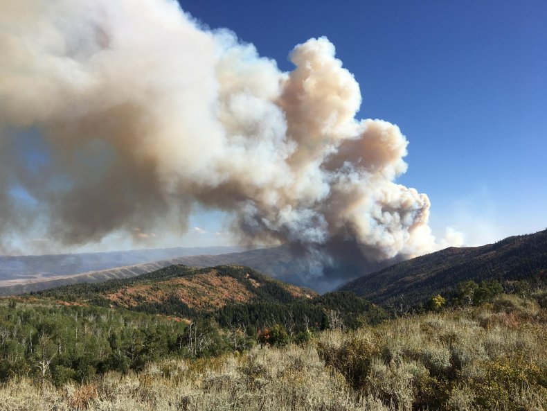 pole creek fire
