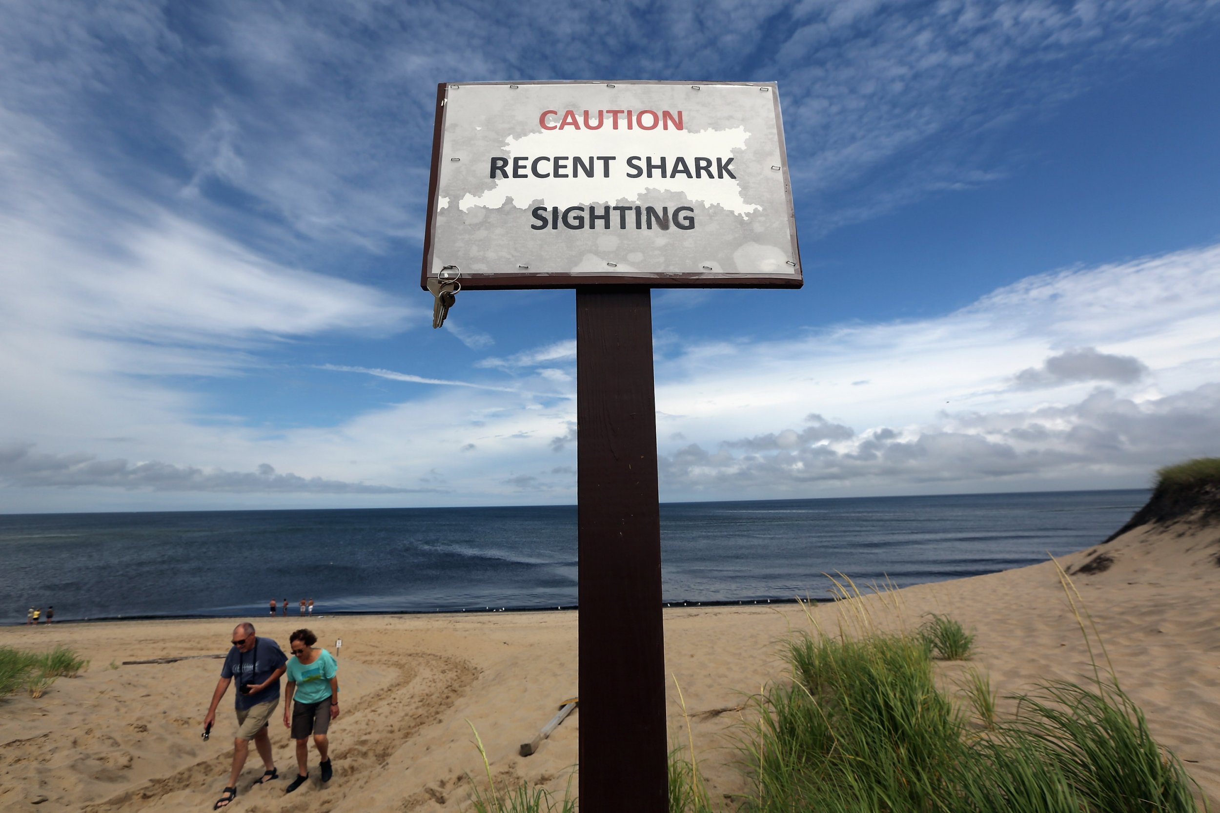 Before Cape Cod Shark Attack, Victim Told Aunt, 'Sharks Don't Bite Me