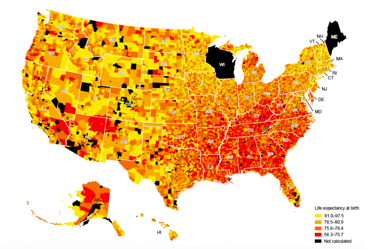 Life Expectancy Map