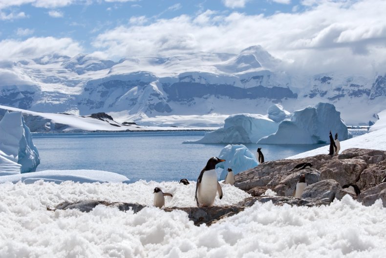 Antarctica-stock
