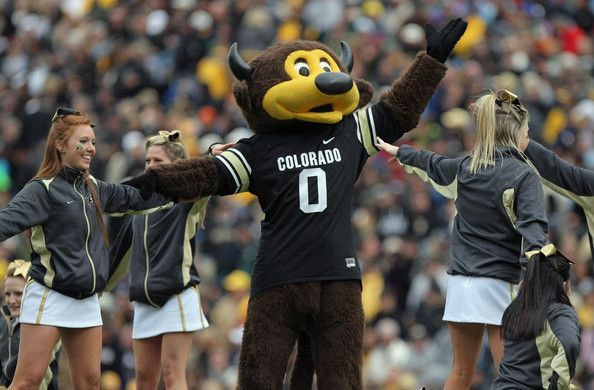 Colorado Buffaloes Mascot Shoots Himself In The Groin After Pointing Cannon The Wrong Way Newsweek 3219