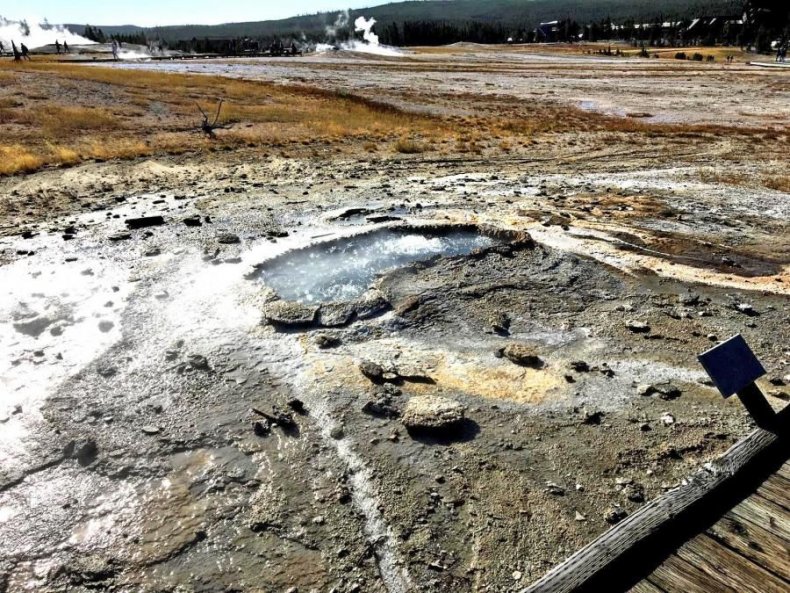 ear spring yellowstone eruption