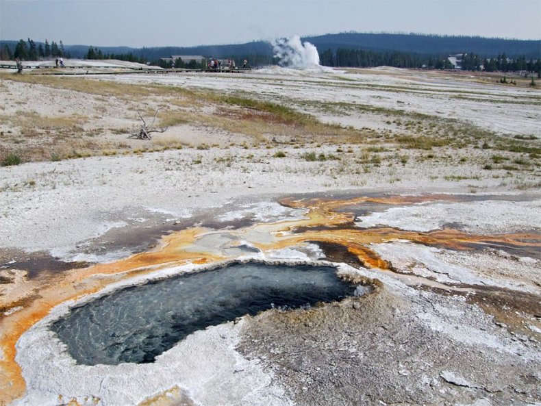 ear springs yellowstone