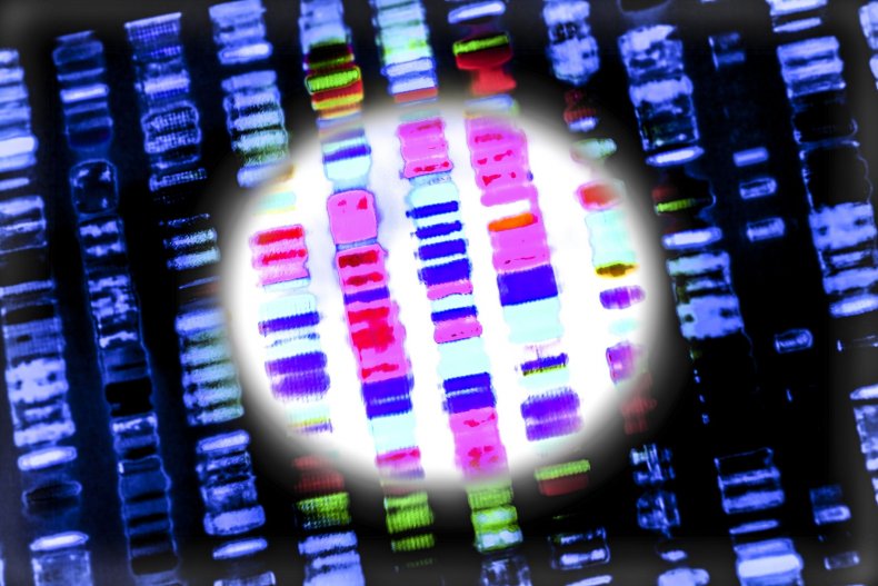 DNA-sequence-stock