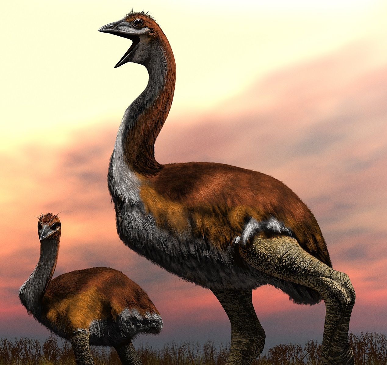 Vorombe Titan: 1,800-Pound Creature Named as World's Largest-Ever Bird