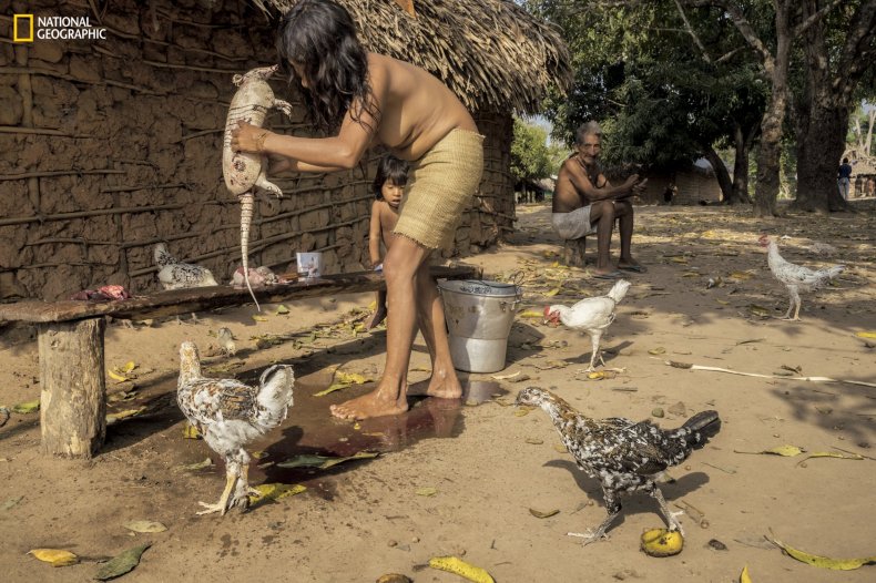 national-geographic-one-use3