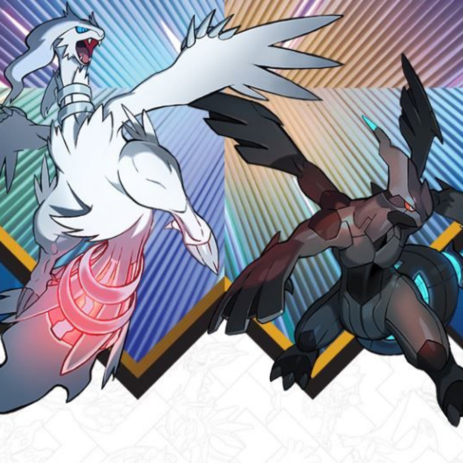 Cool reshiram /zekrom fusion