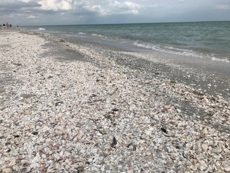 sanibel sanibel