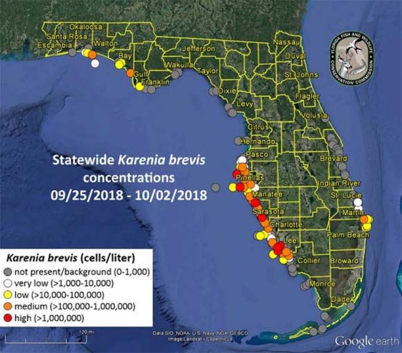 red tide map update