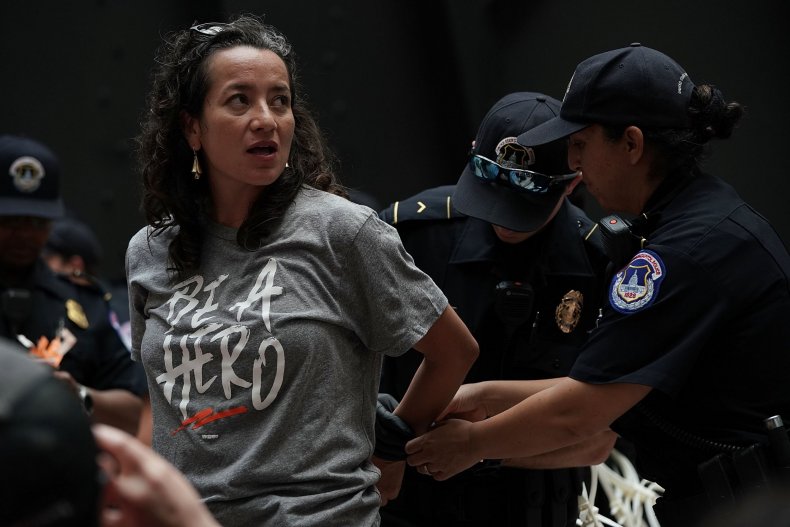 Trump Labels Capitol Hill Activists as ‘Paid Professionals’ Without Evidence