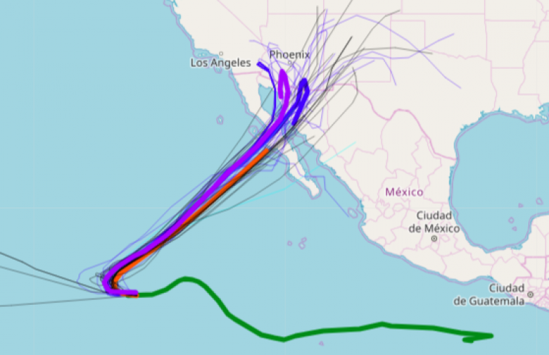 Hurricane Sergio Spaghetti Models Sunday