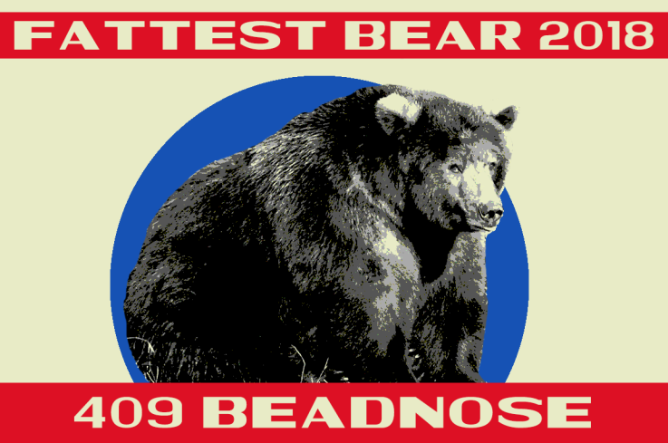 43505791_2125924770765643_4195126520596922368_o 43505791_2125924770765643_4195126520596922368_o