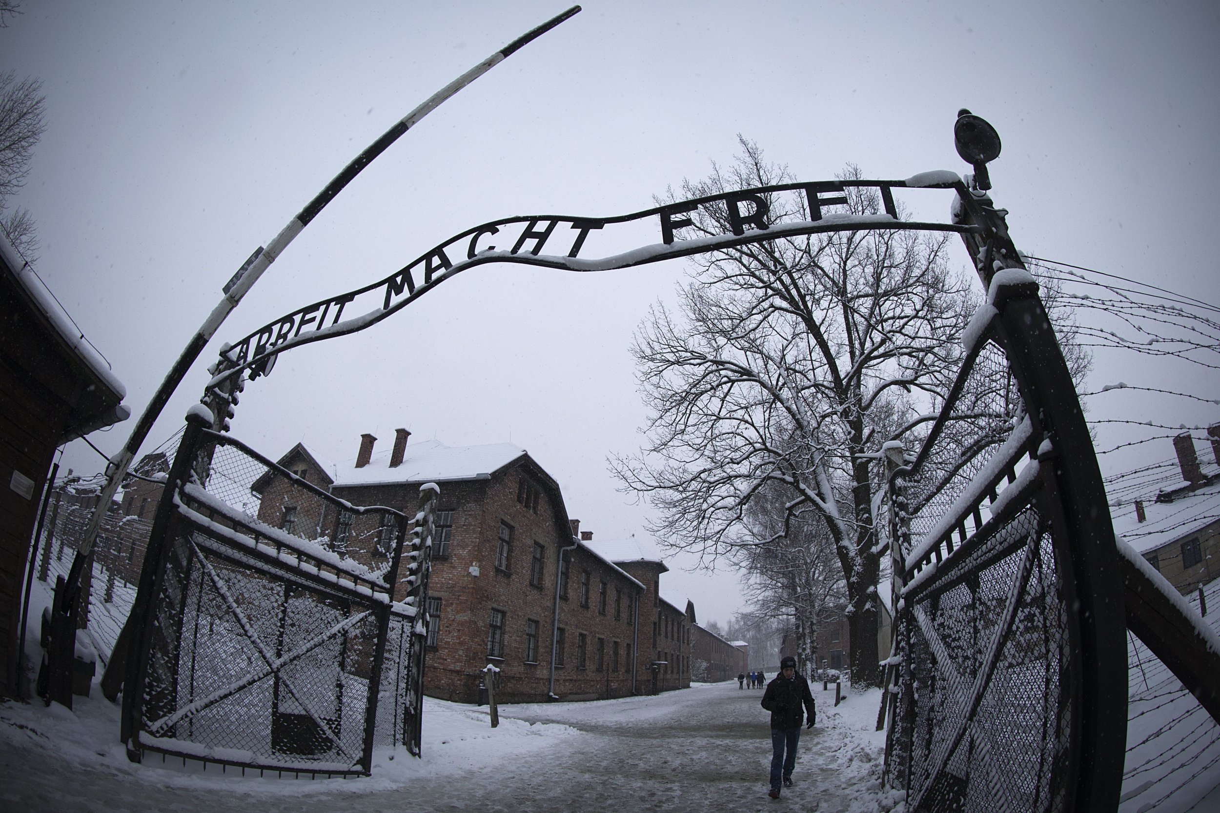 Auschwitz Chelsea