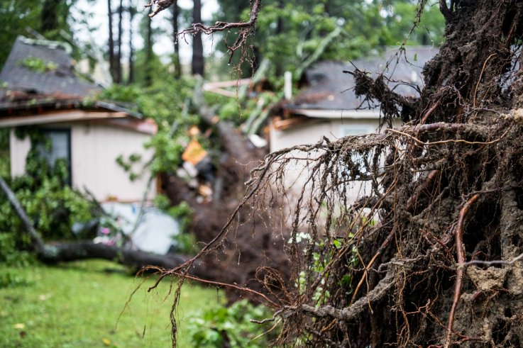 Hurricane Michael virginia damage Hurricane Michael virginia damage