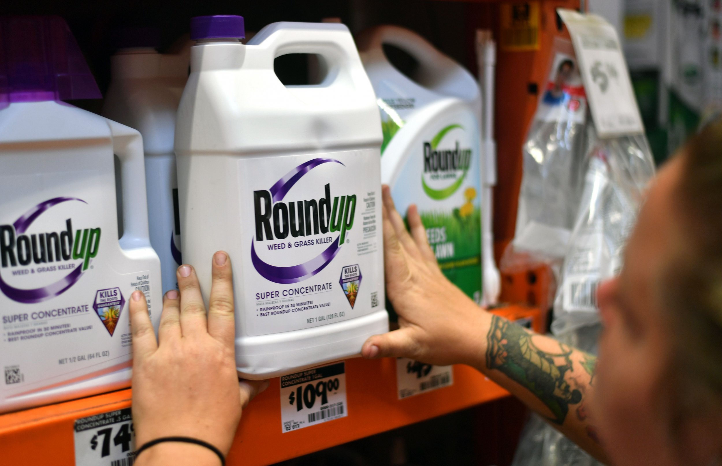 Roundup