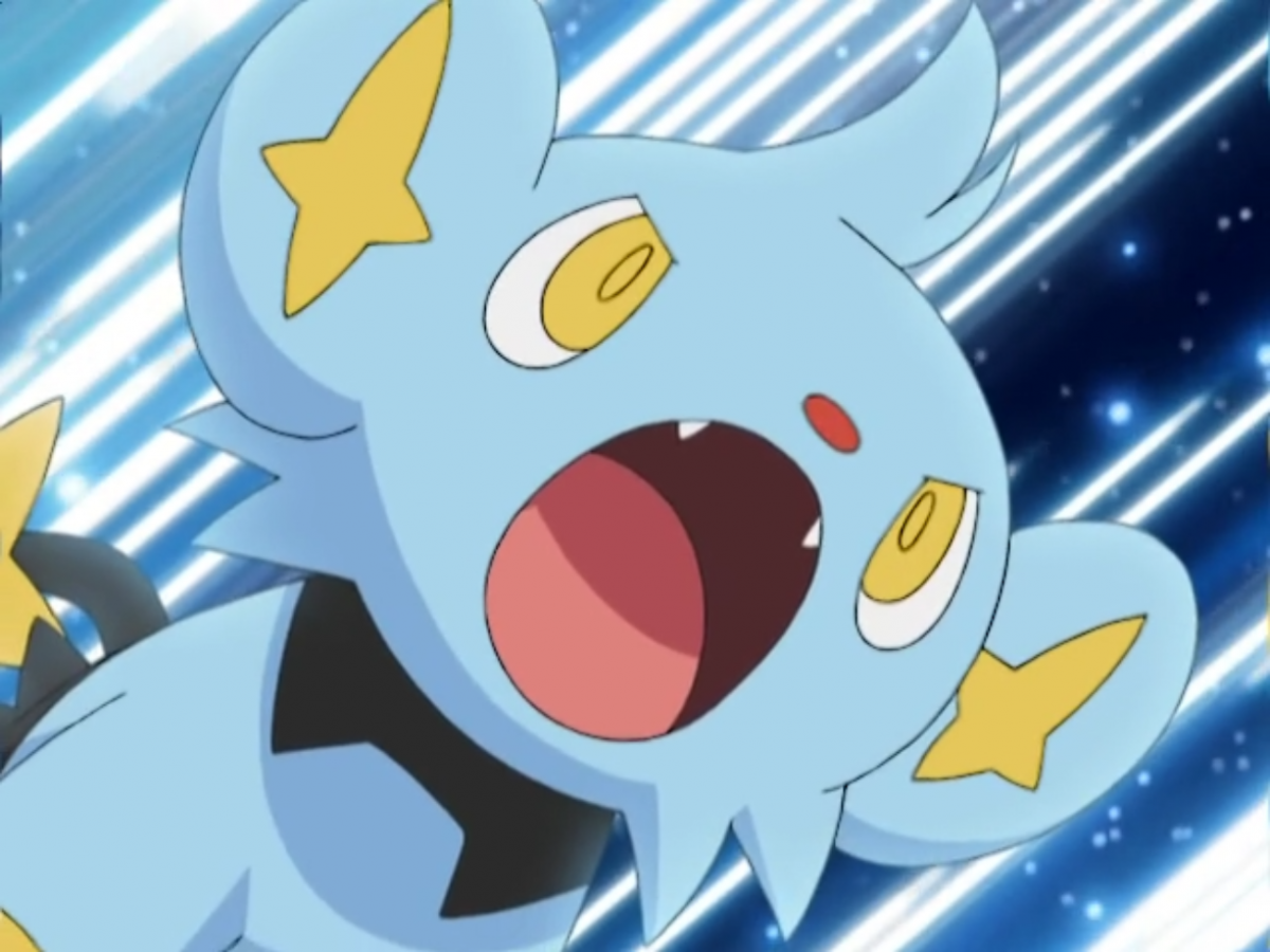 shinx pokemon anime