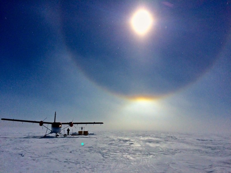ross ice shelf