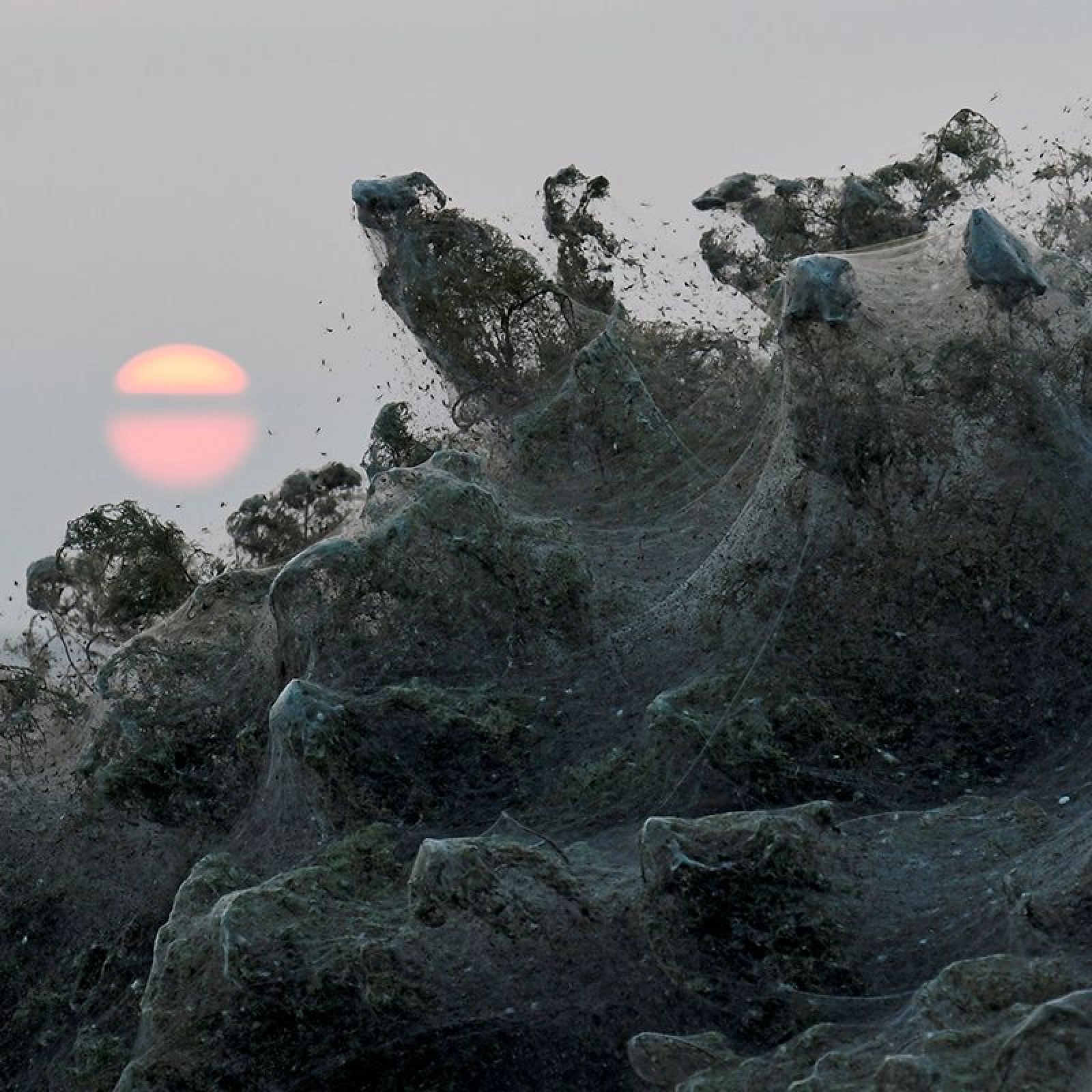 Enormous 3 000 Foot Spider Web Shrouds Greek Lake And It Looks Set To Grow