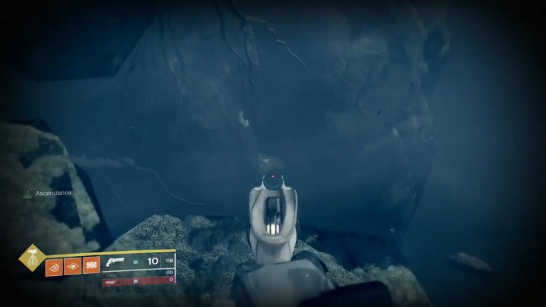 Destiny 2 bone