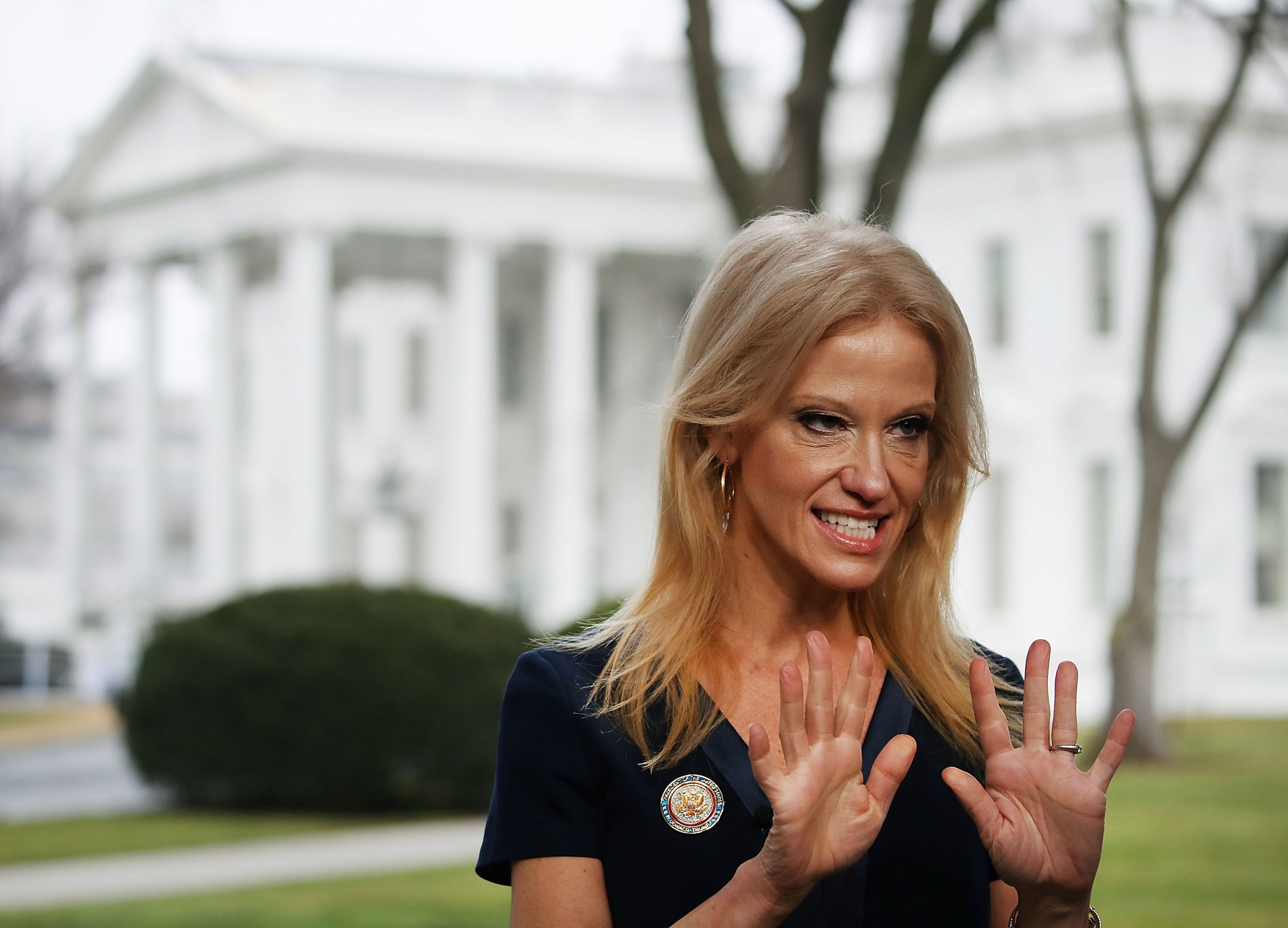 Kellyanne conway cleavage