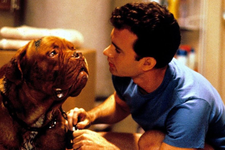 03 Turner & Hooch