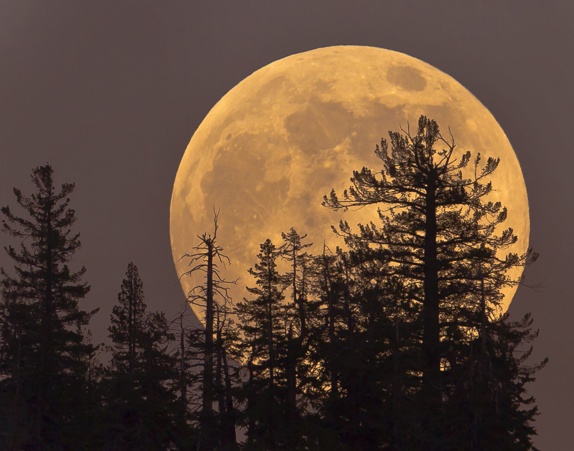 Full Moon October 2024 Meaning Spiritual Seka Estella