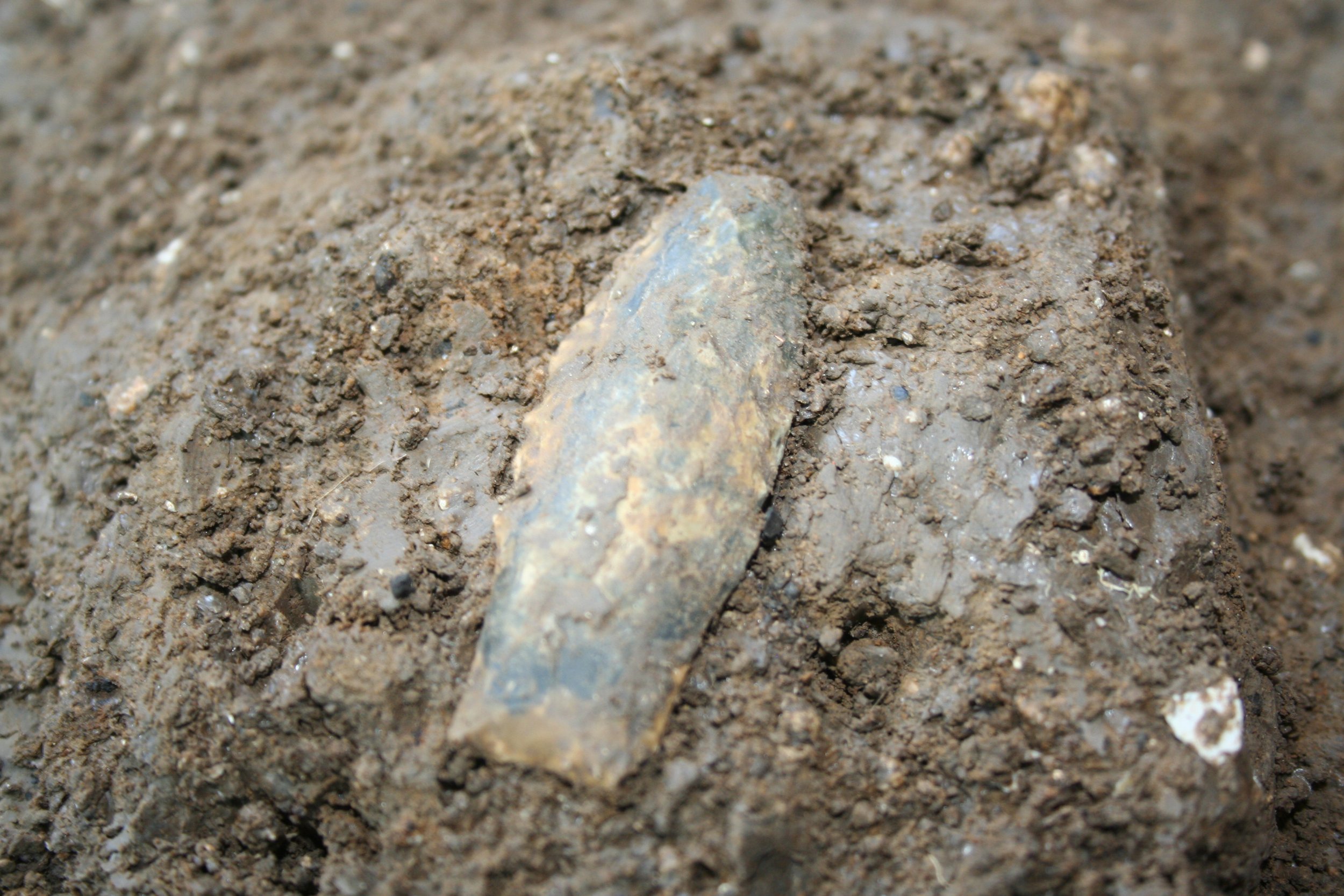 Texas: Ancient Weapons Pre-Dating Clovis People Discovered at Buttermilk  Creek