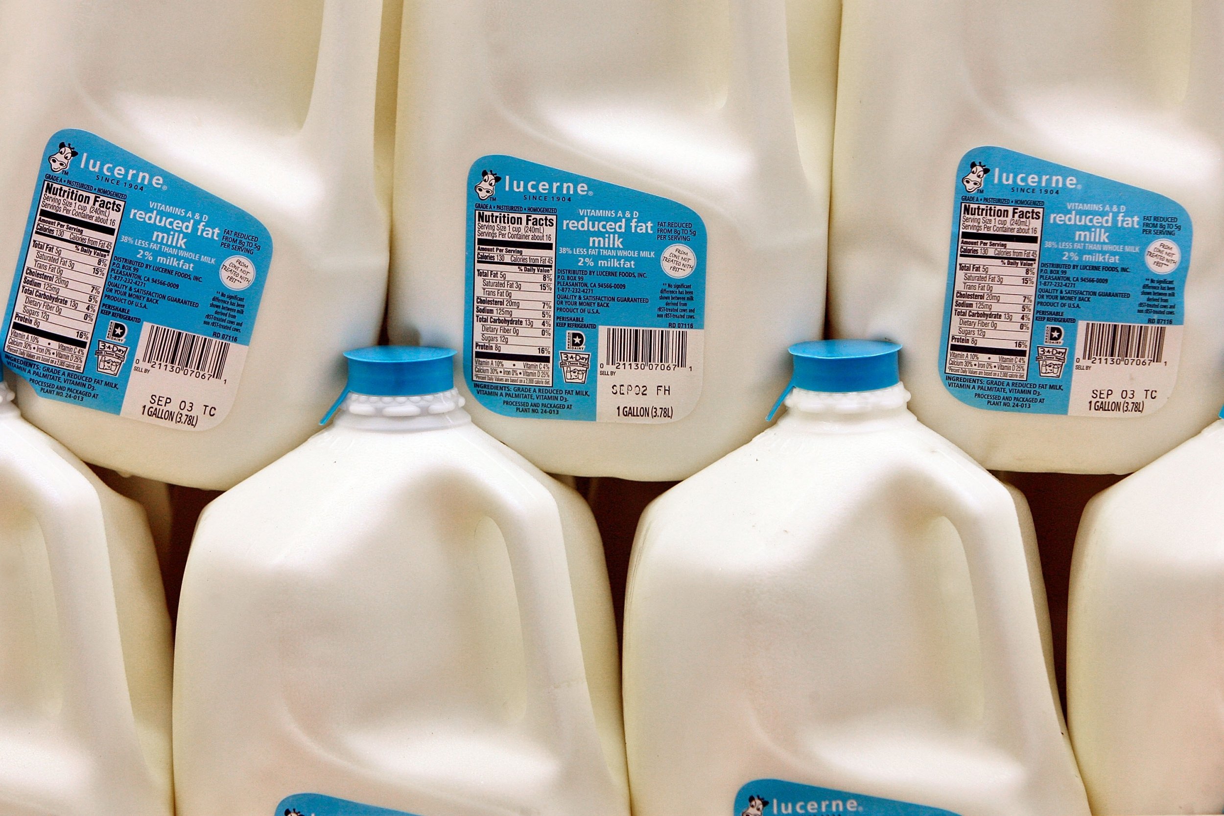 Сайт милк. Gallon of Milk. Milk White Supremacy. Milk Supremacy. Us Gallon.