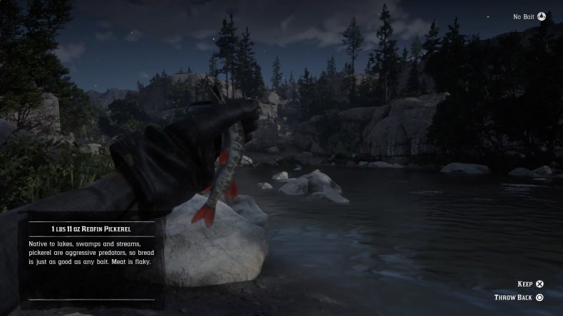 red-dead-redemption-2-fishing-guide