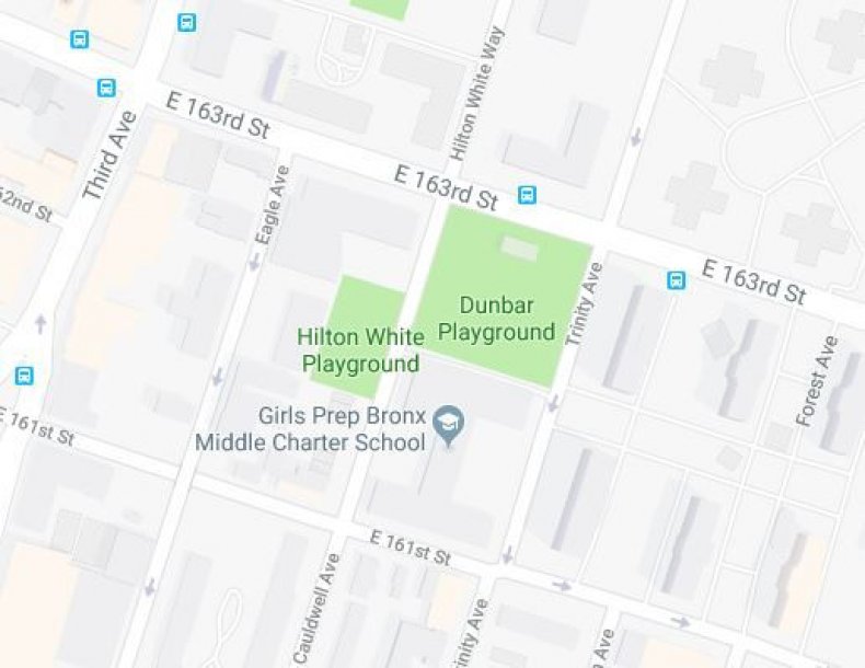11-year-old girl raped park bronx 11-year-old girl raped park bronx