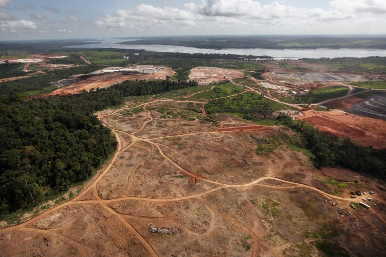 deforestation