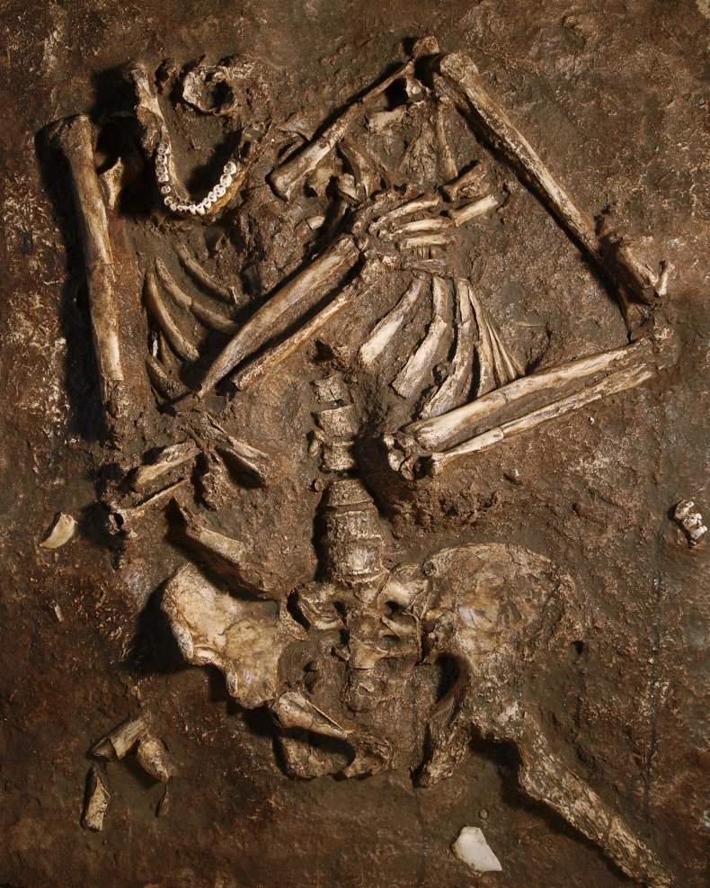 neanderthal