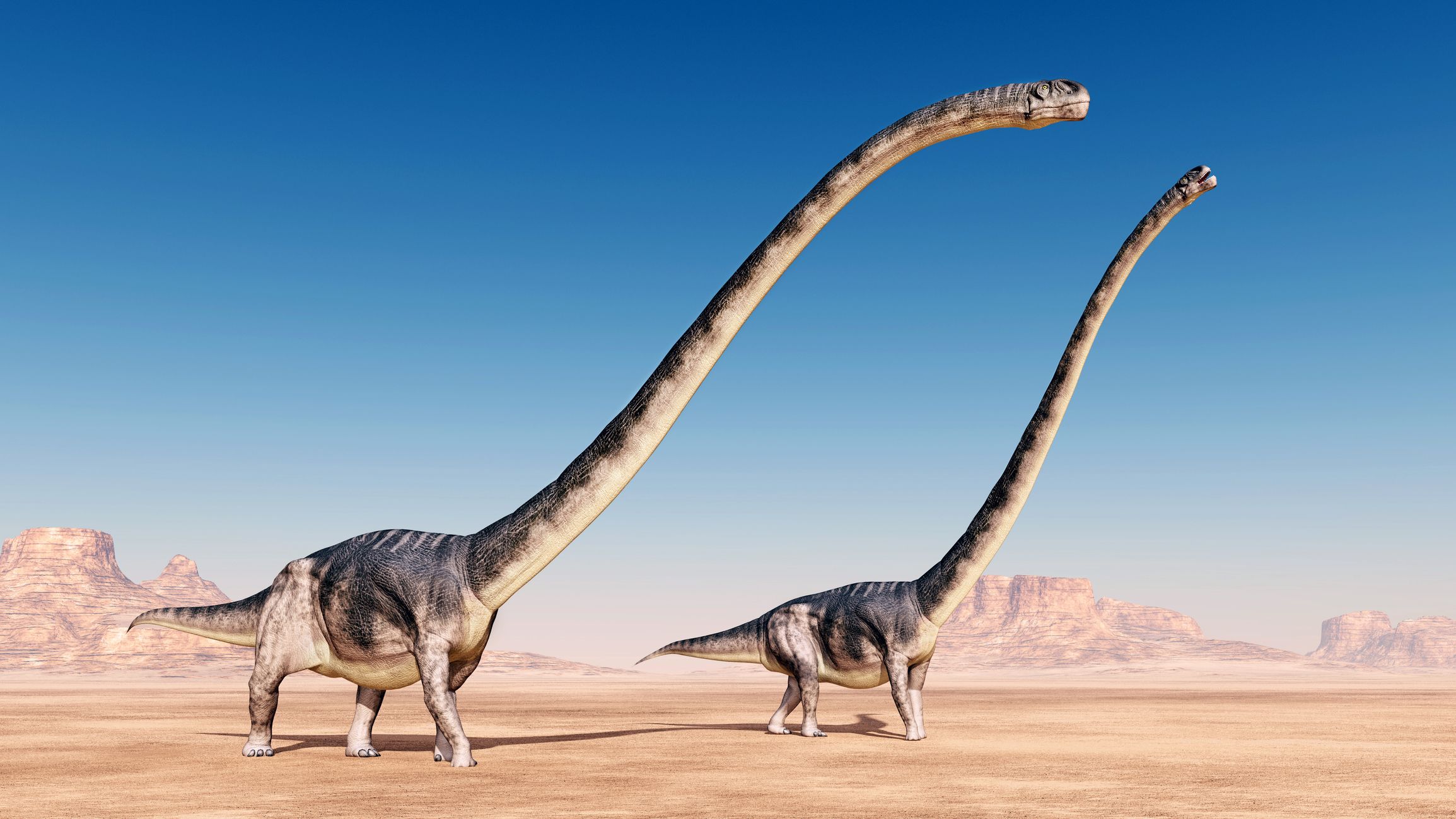 Динозавр с длинной шеей в пустынею