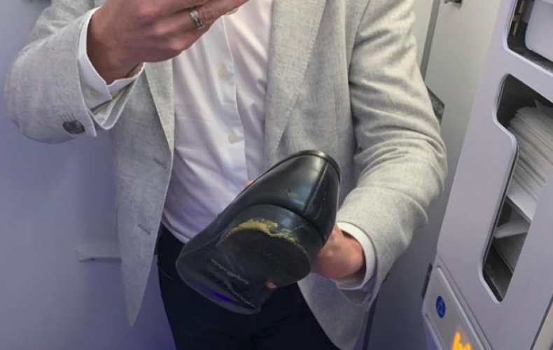 feces on plane