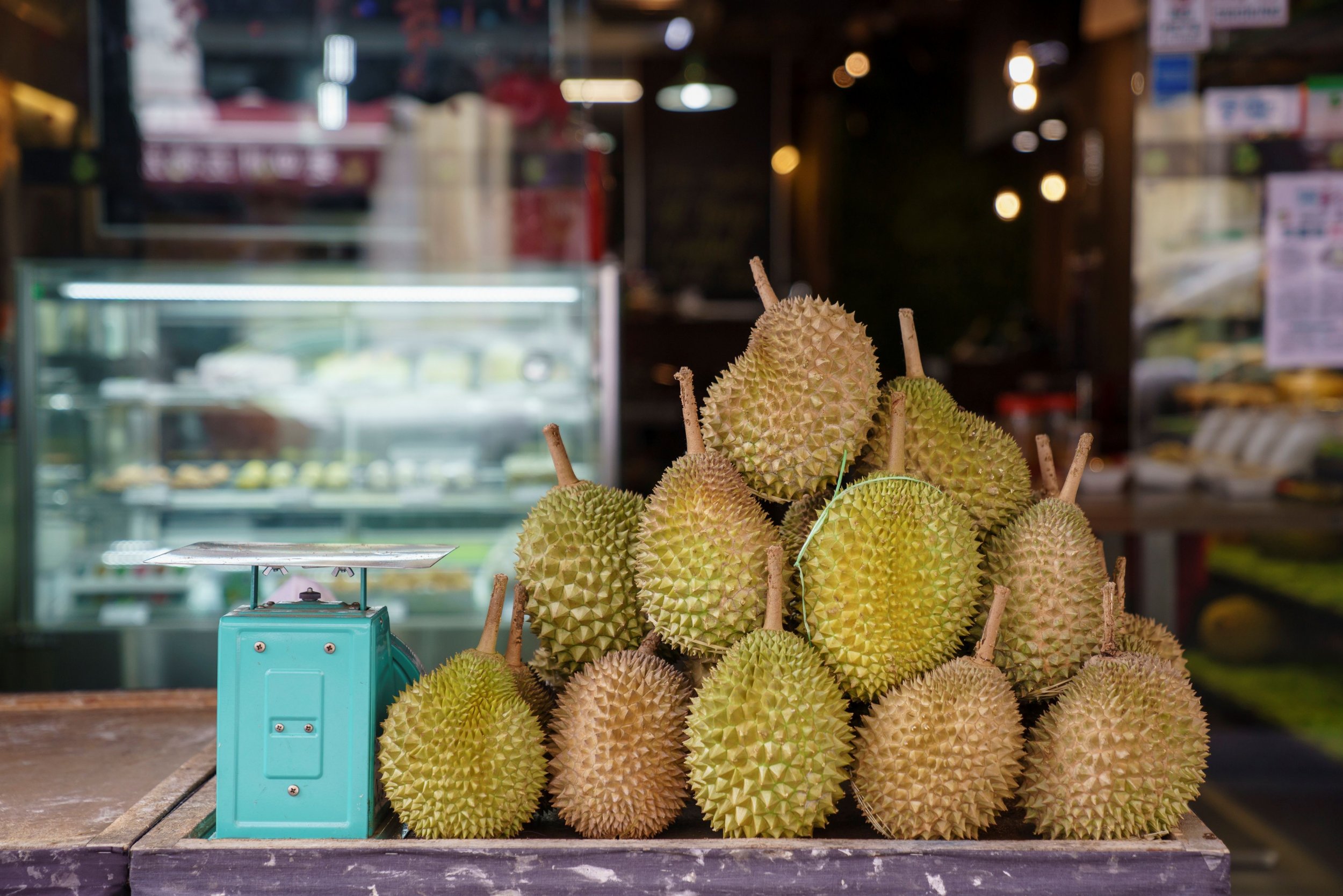 durian essay