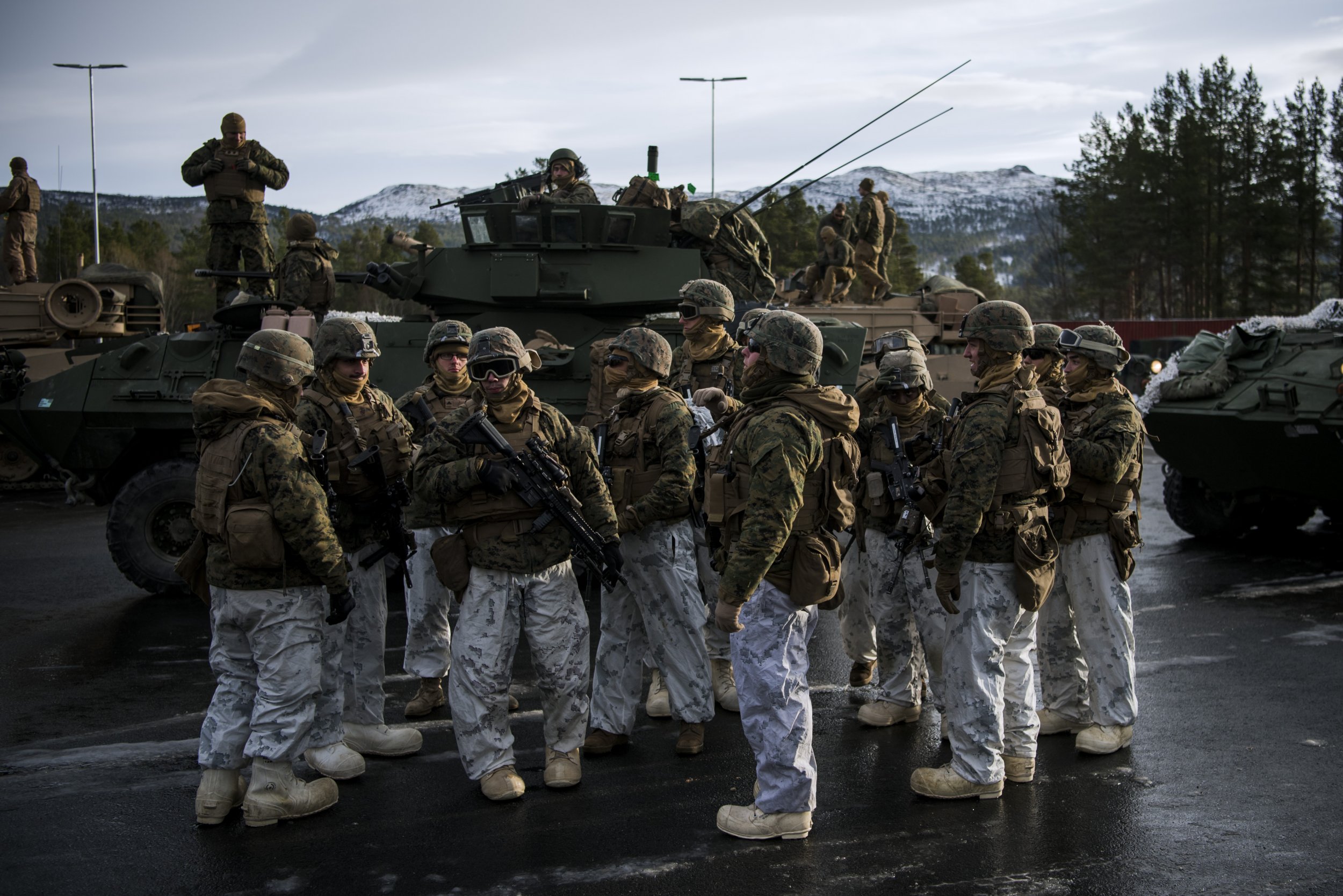 Войска нато зашли на украину. Армия Норвегии 2022. Войска НАТО Норвегия. Американские военные в Норвегии. Морская пехота Норвегии.
