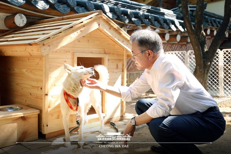 MoonJaeInDog MoonJaeInDog