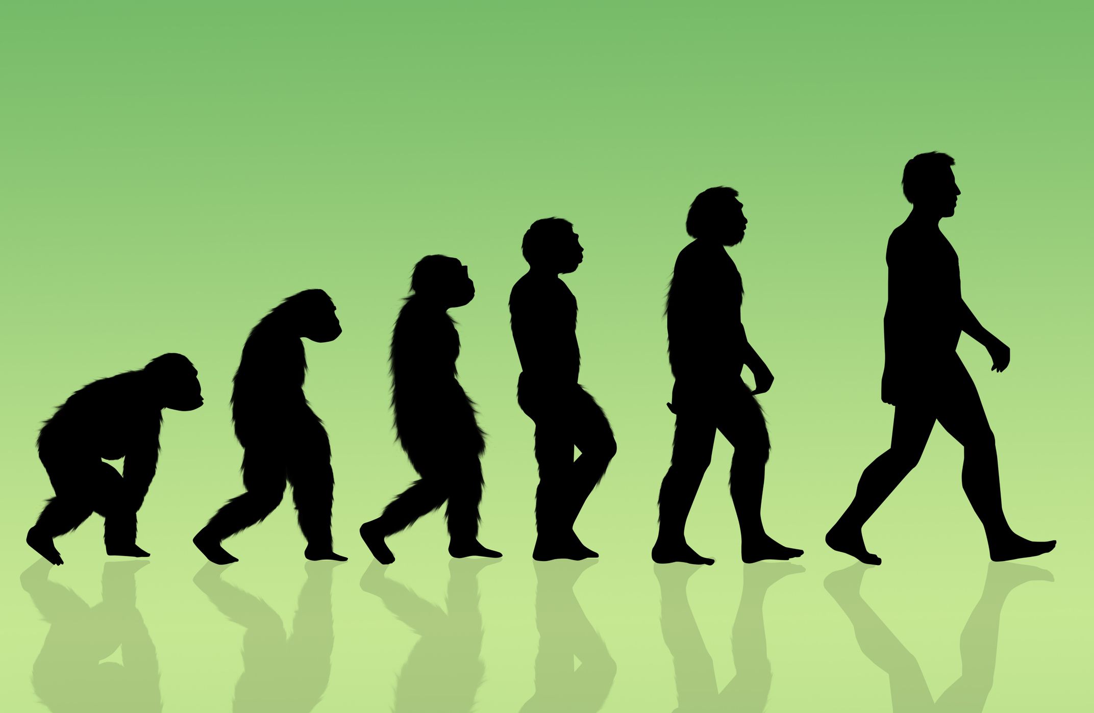 Humans Are Still Evolving—And It May Be Happening Faster Than Ever