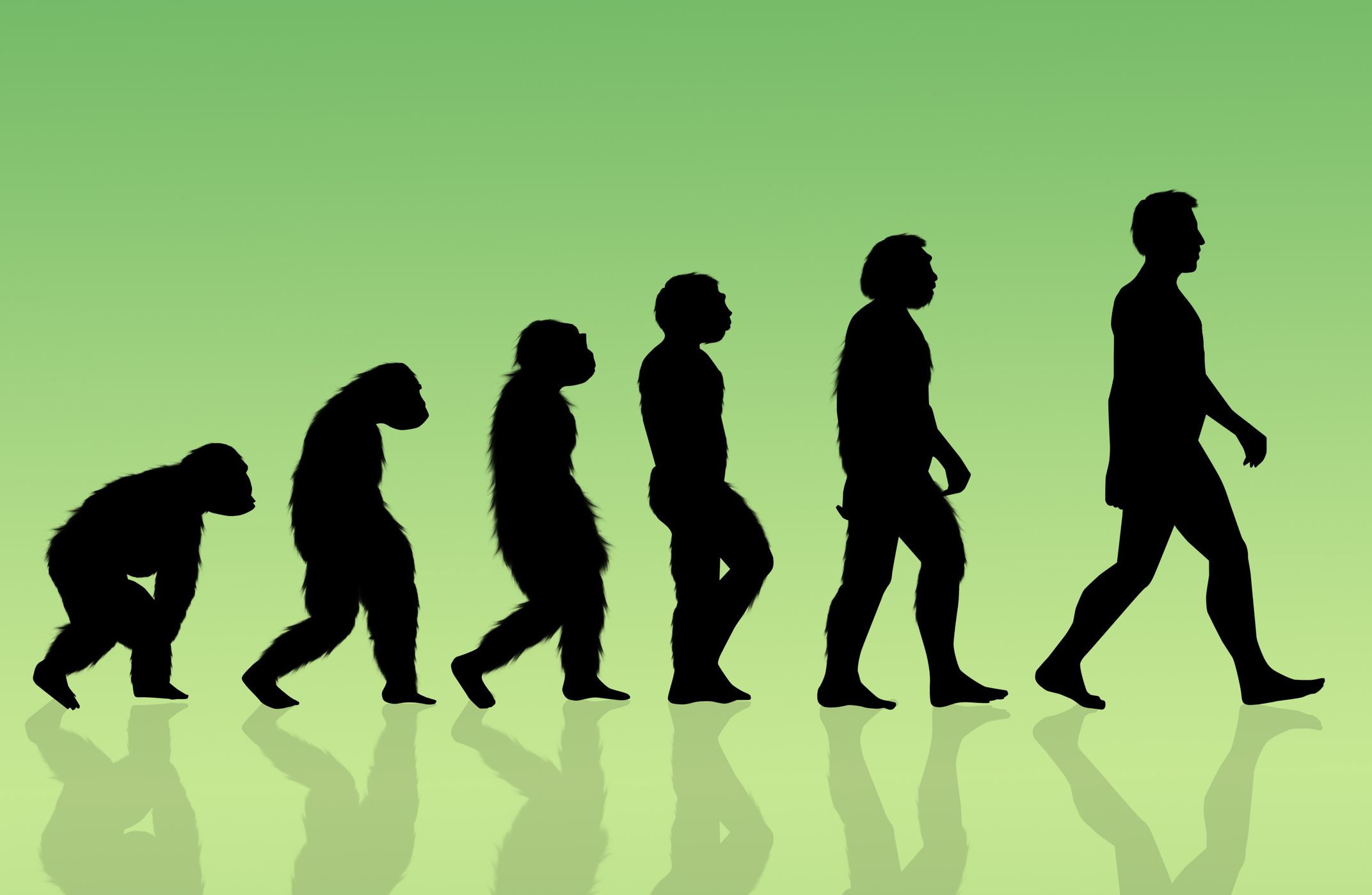 Humans Are Still Evolving—And It May Be Happening Faster Than Ever ...