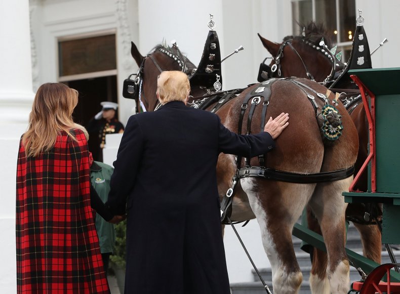 President Donald Trump