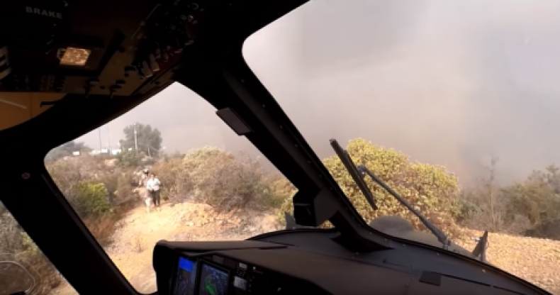 firefighters rescue dogs, people woolsey fire california fire