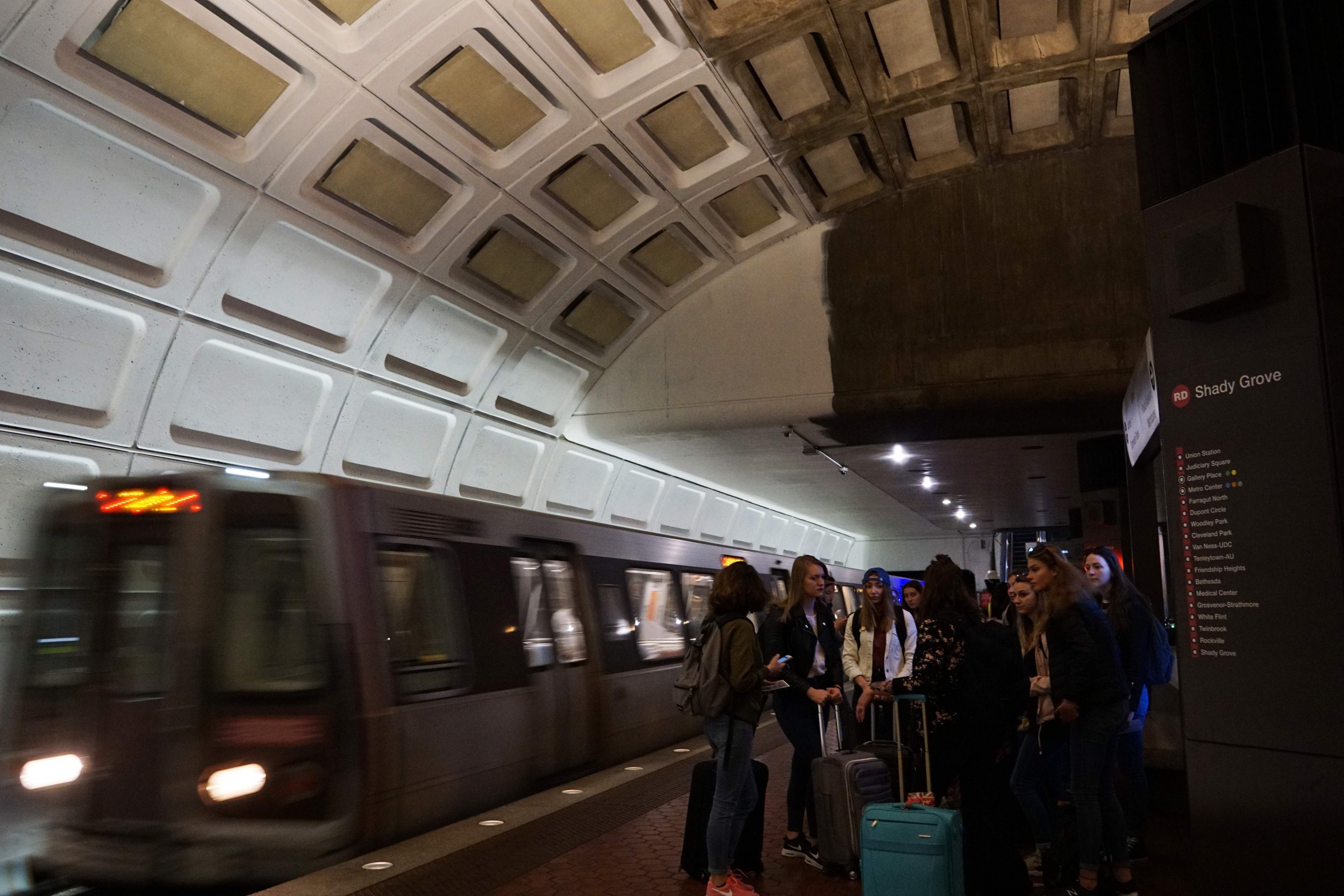 Are Dogs Allowed In Dc Metro